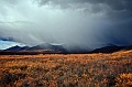 Yukon wilderness 002 Copyright Villayat Sunkmanitu